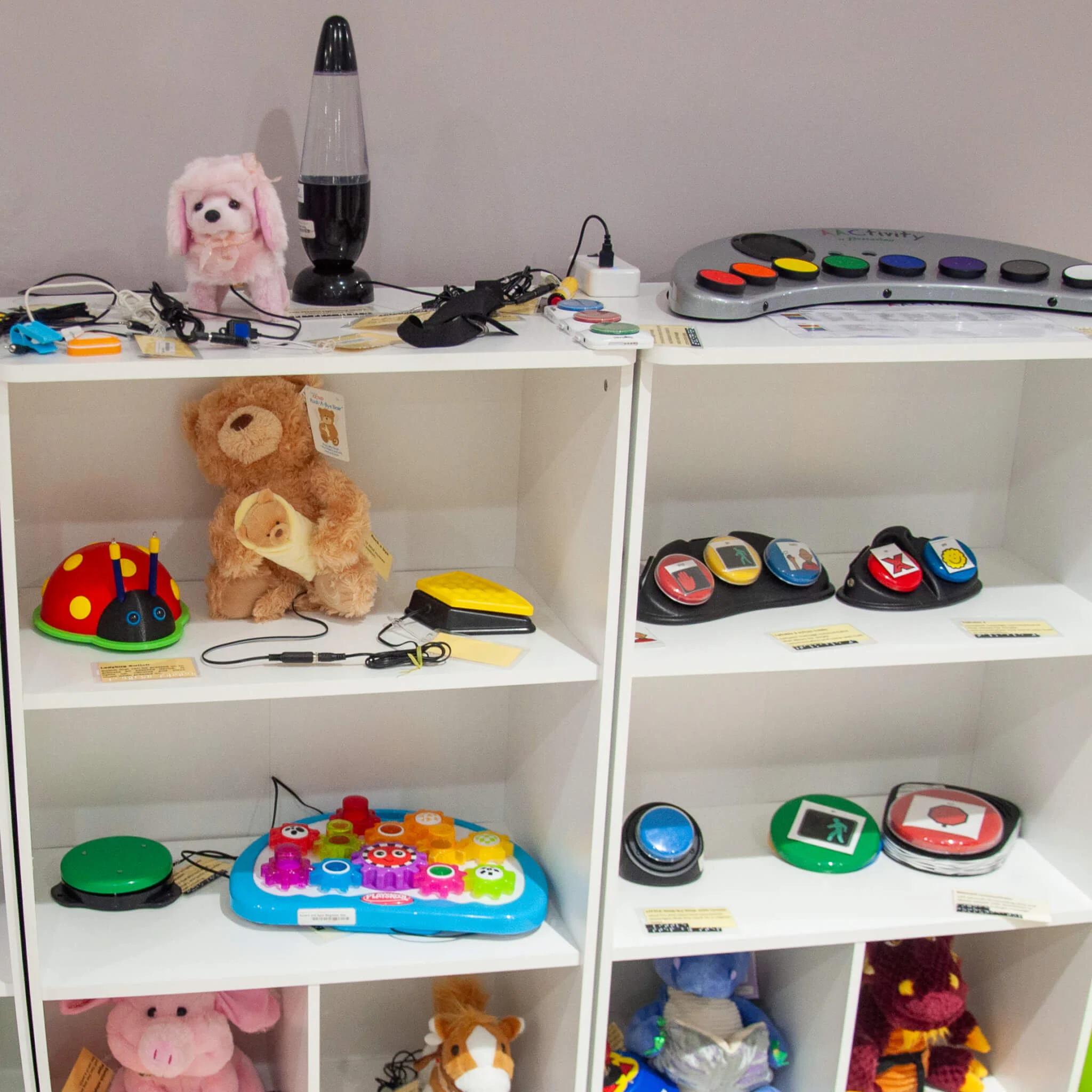 Learning and Cognition